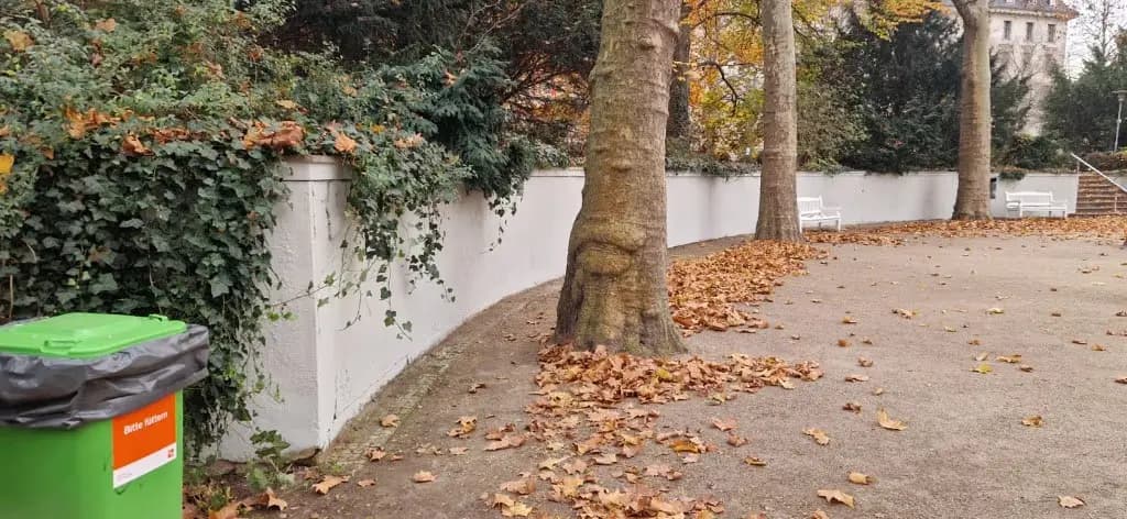 Mur w parku po usunięciu graffiti i malowaniu — czysta, jednolita ściana